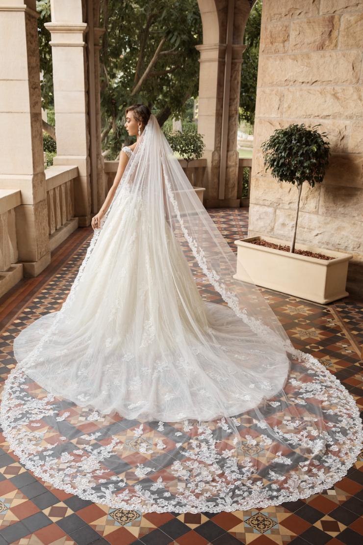 Royal Veil with Breathtaking Lace Trimming Thumbnail Image