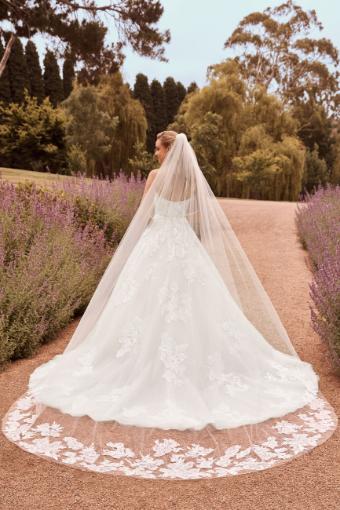 Breathtaking Soft Tulle Veil with Lace $0 default thumbnail