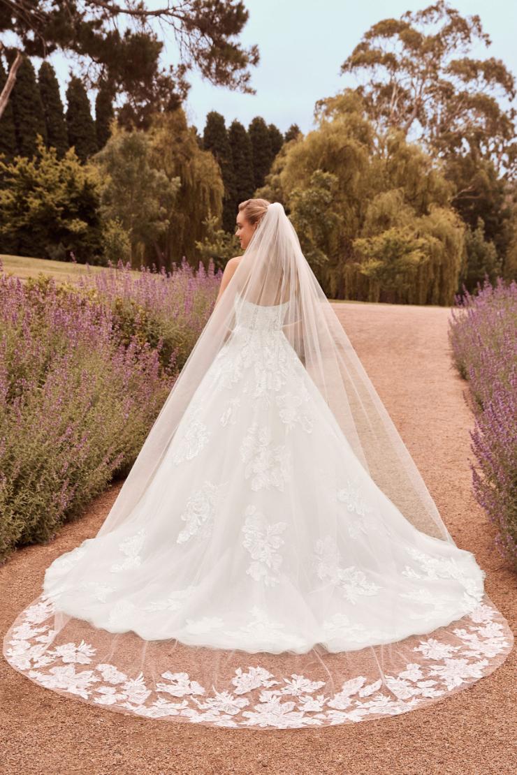 Breathtaking Soft Tulle Veil with Lace #$0 default picture