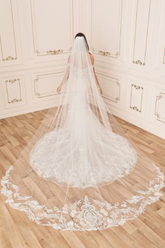 Graceful Soft Tulle Veil with Lace Details $1 thumbnail