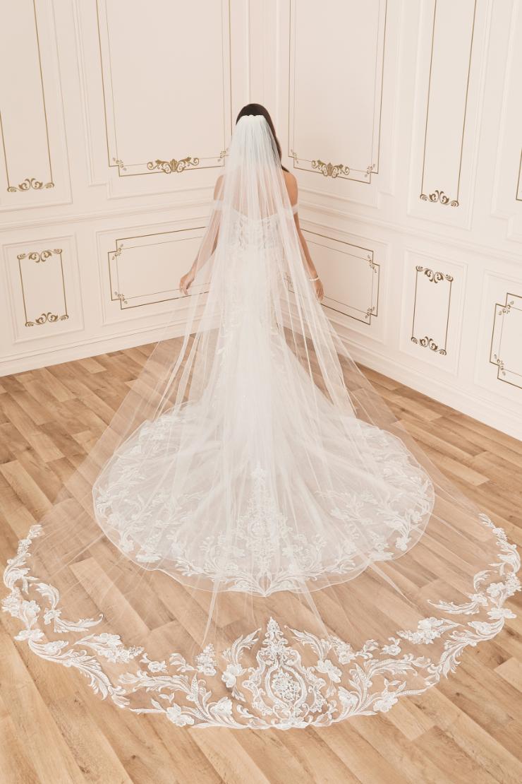 Graceful Soft Tulle Veil with Lace Details #$1 picture