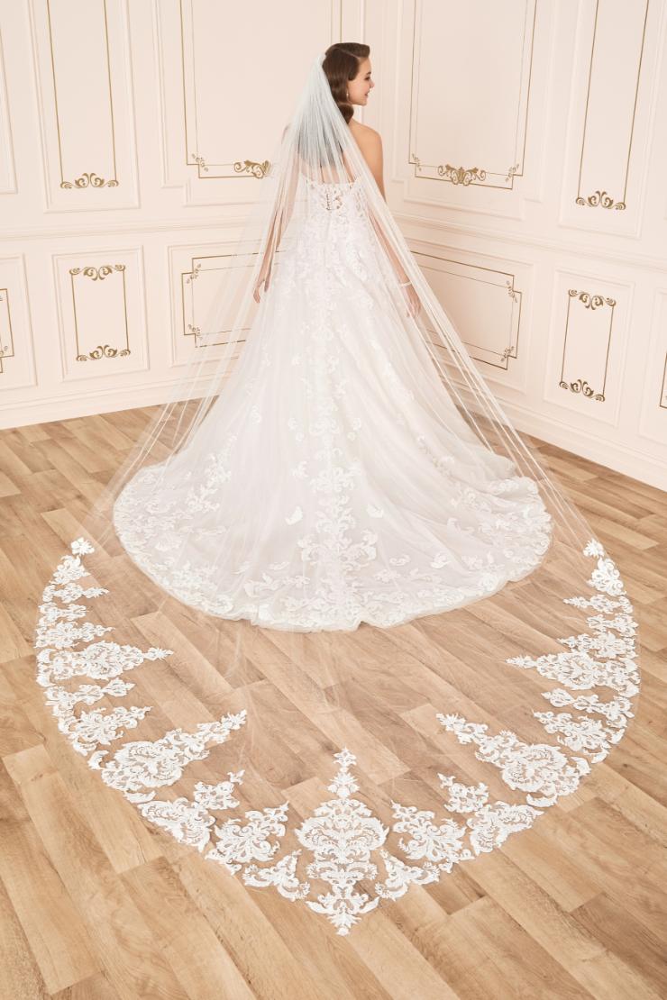 Elegant Shaped Bridal Veil #$1 picture