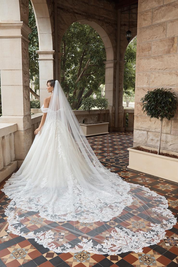 Royal Soft Tulle Wedding Veil with Lace Trimming