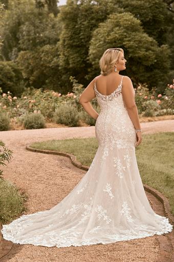 Plus Size Fit and Flare Lace Wedding Dress Valentina $1 default backface vertical thumbnail